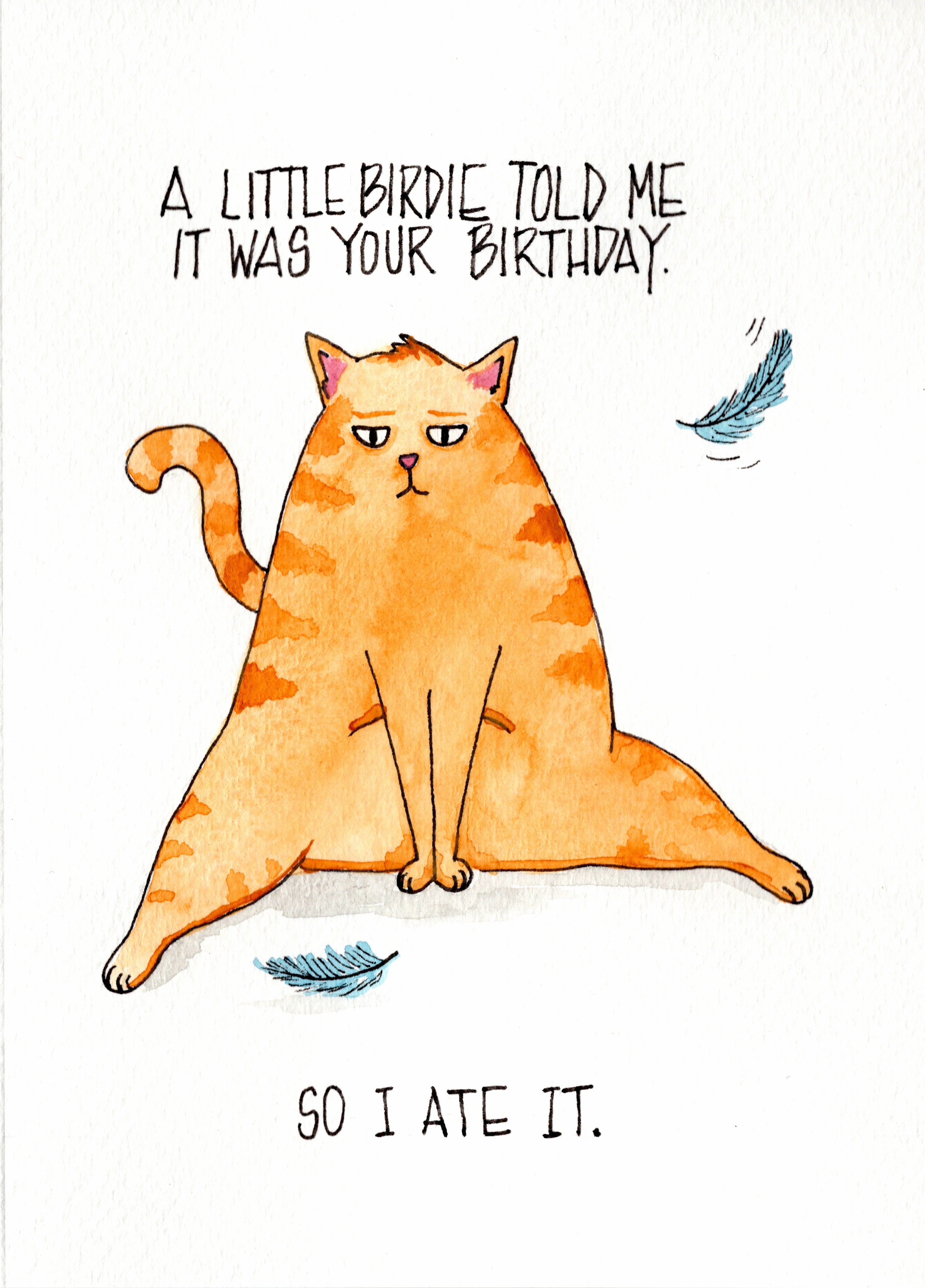 Birthday - Little birdie